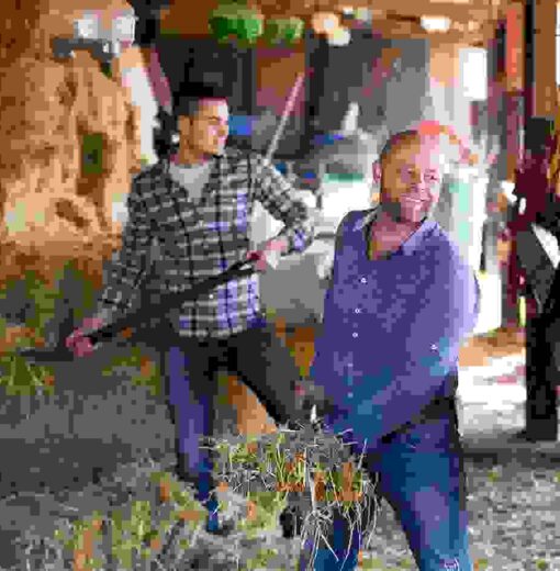 Aliquam ut dictum sapien